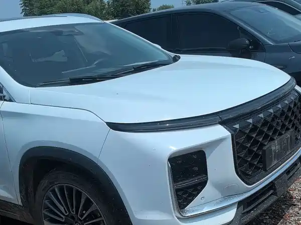 Jetour Shanhai L9 2024