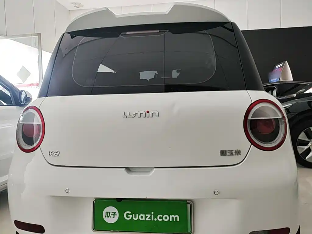 Qiyuan Lumin 2025