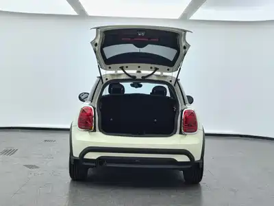 MINI MINI 2022