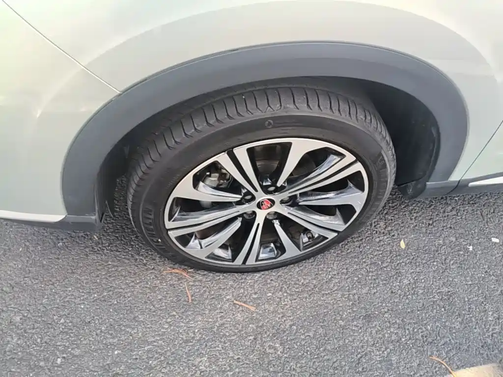 Roewe RX5 eMAX 2021 — фото 23