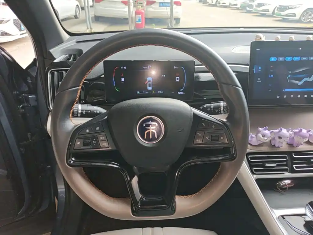 BYD Song Pro New Energy 2023 — фото 7