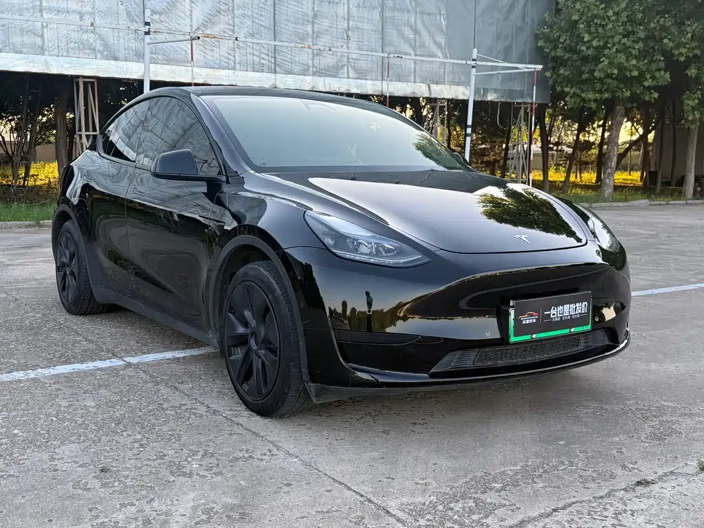 Tesla Model Y 2023 — фото 3