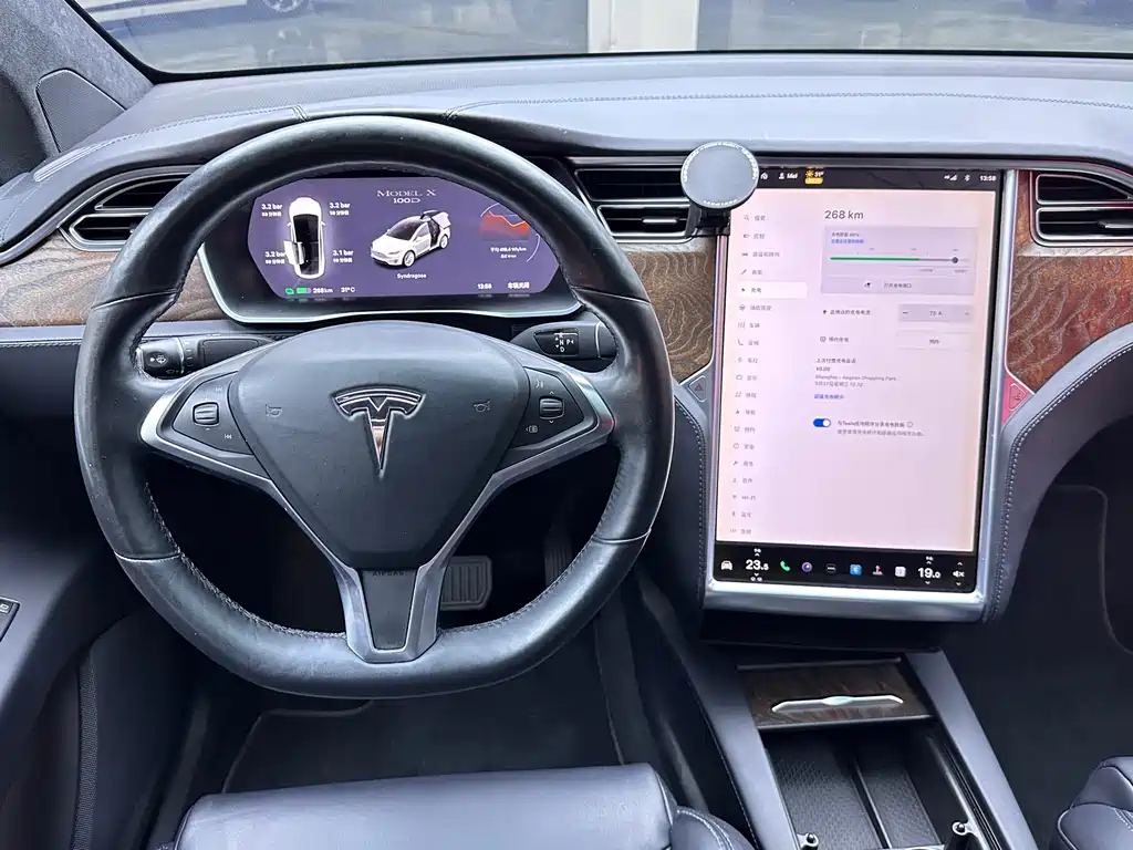 Tesla Model X 2017 — фото 15
