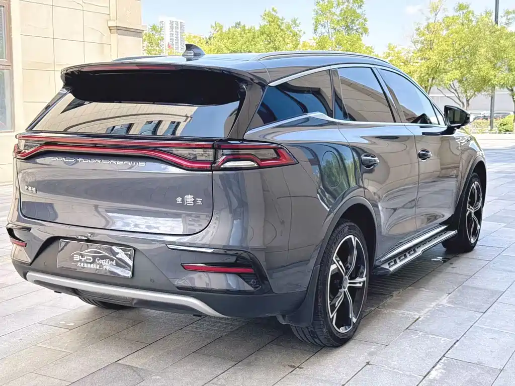 BYD Tang New Energy 2022 — фото 20