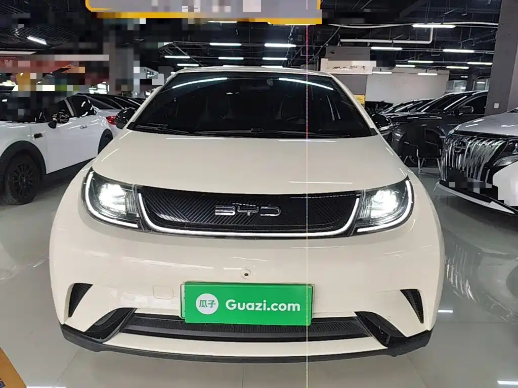 BYD Dolphin 2022