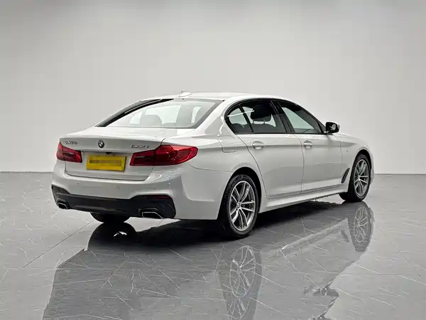 BMW 5 Series 2019