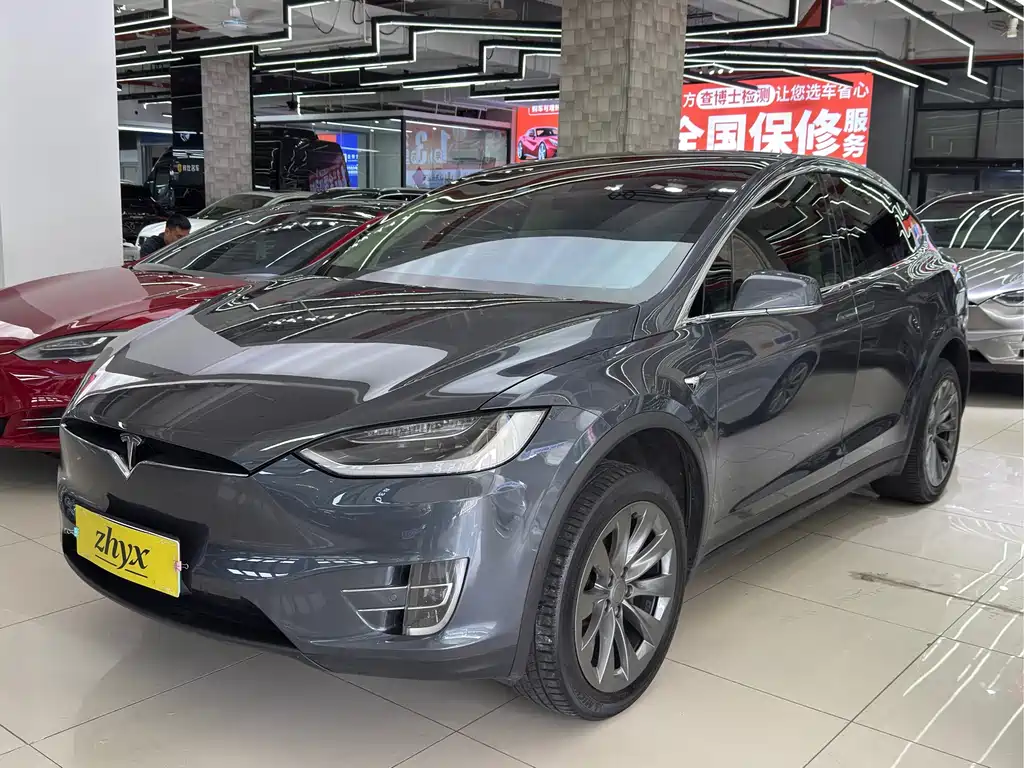 Tesla Model X 2017 — фото 7