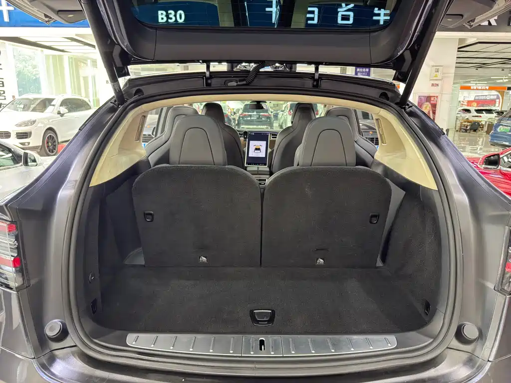 Tesla Model X 2017 — фото 25