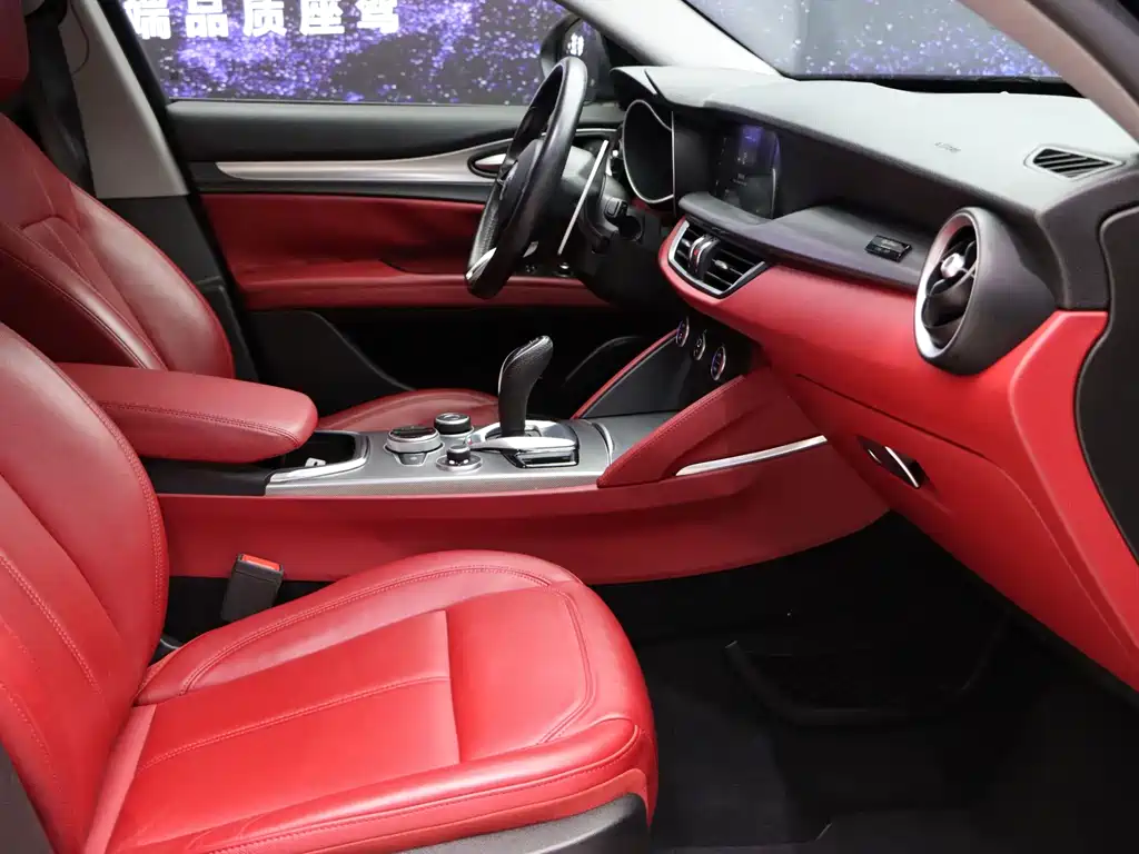 Alfa Romeo Stelvio 2020 — фото 12