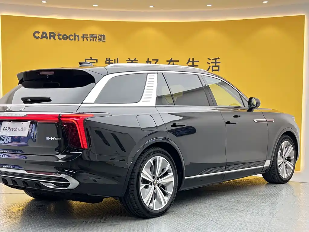Hongqi E-HS9 2023 — фото 34