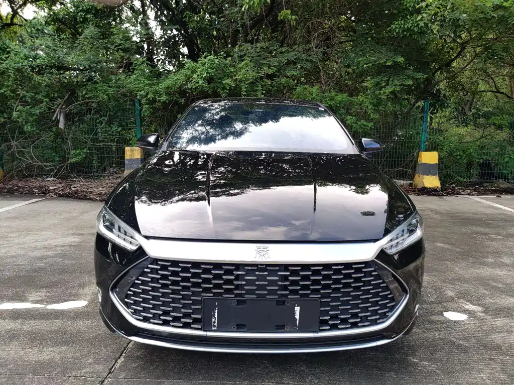 BYD Qin PLUS 2021