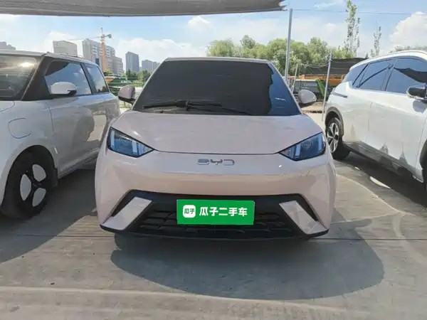 BYD Seagull 2024
