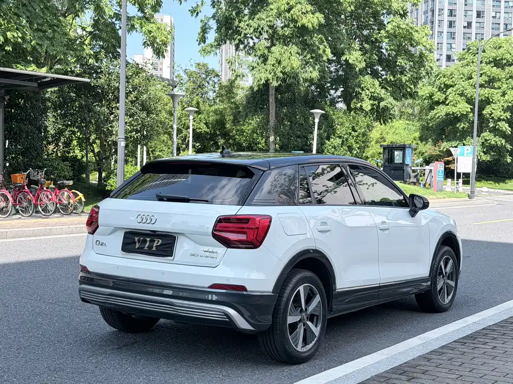 Audi Q2L E-Tron 2020