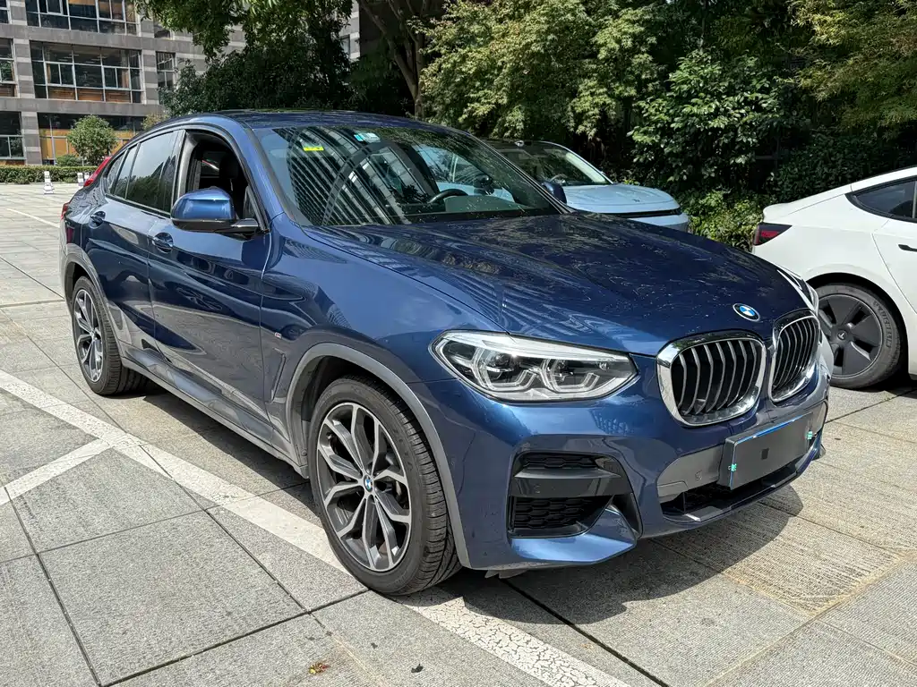 BMW X4 2019 — фото 3