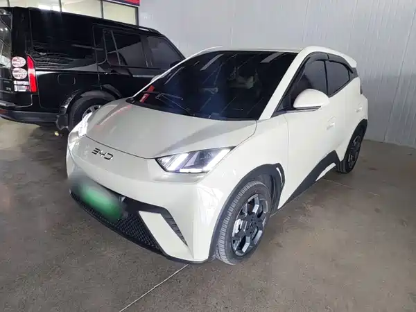 BYD Seagull 2024