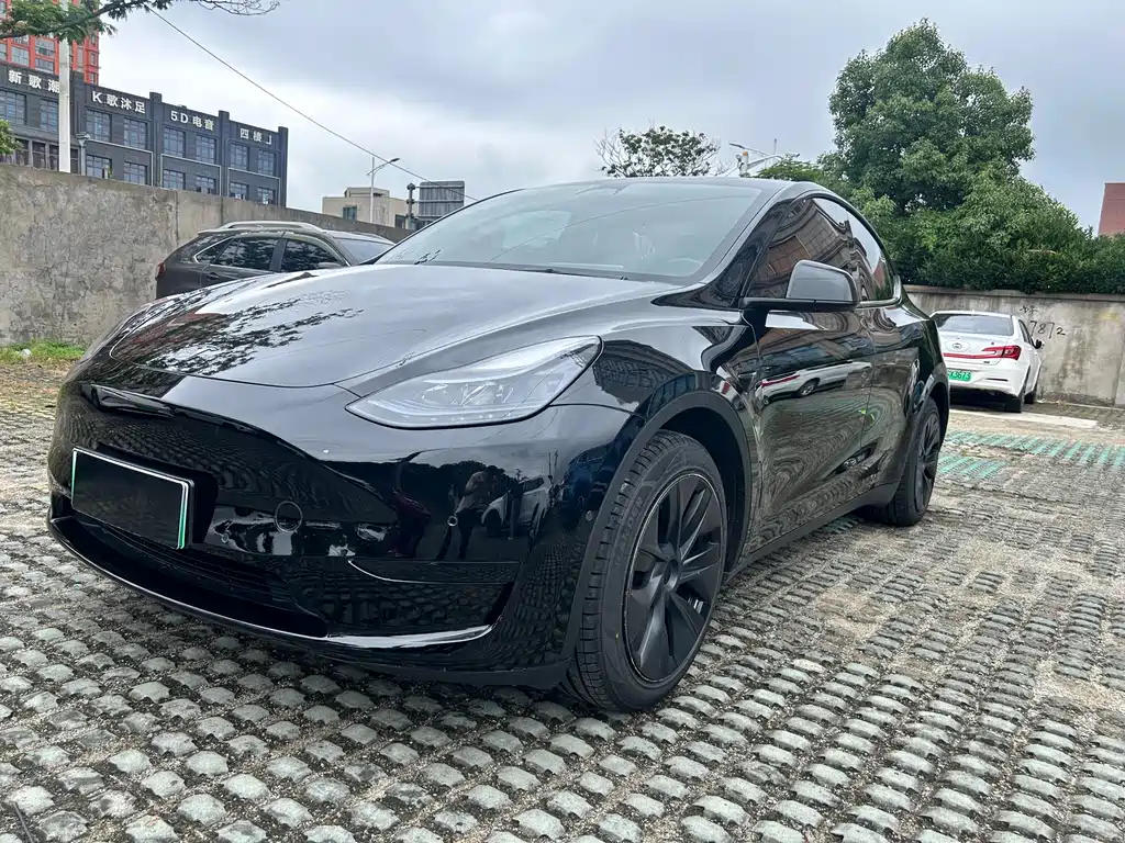 Tesla Model Y 2023 — фото 2