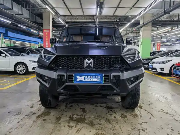 Mengshi 917 2024