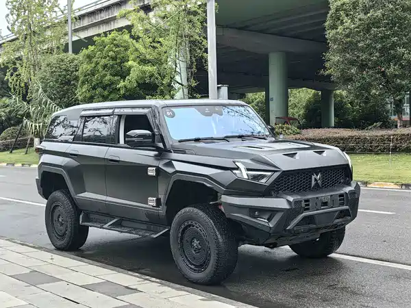 Mengshi 917 2023