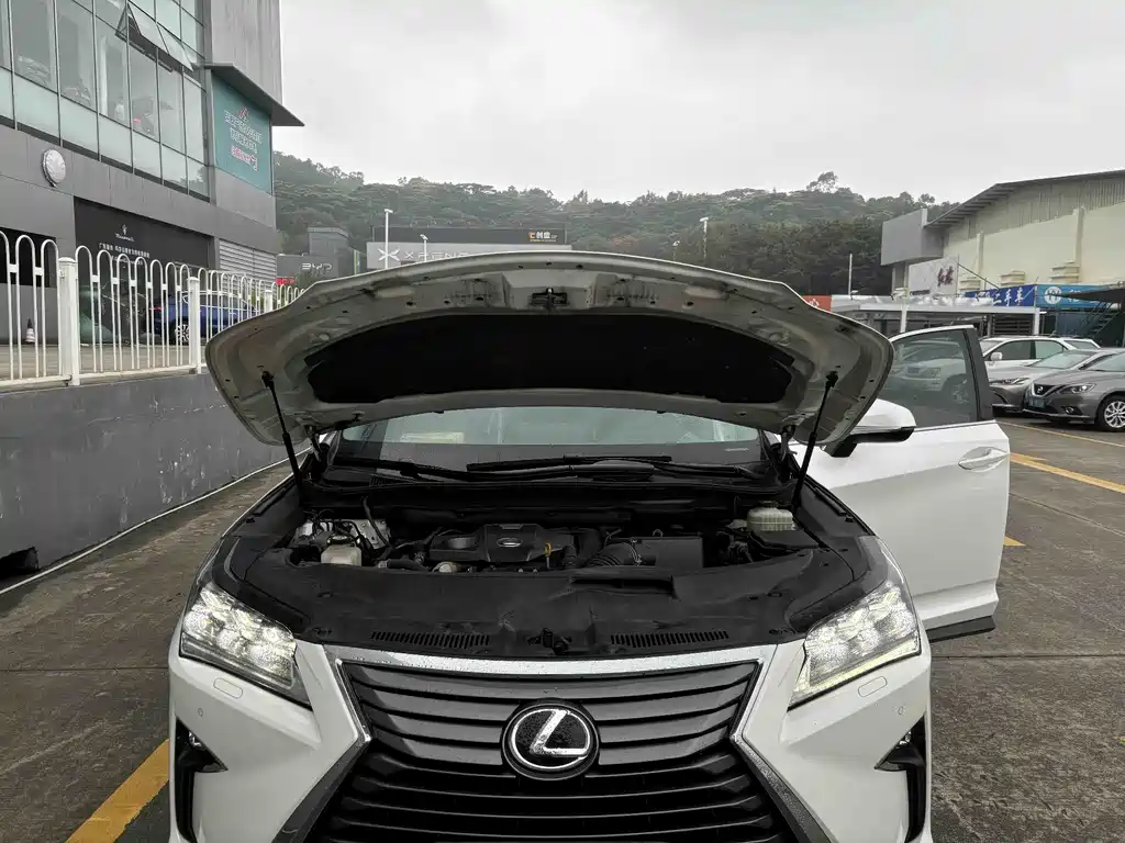 Lexus RX 2018 — фото 15