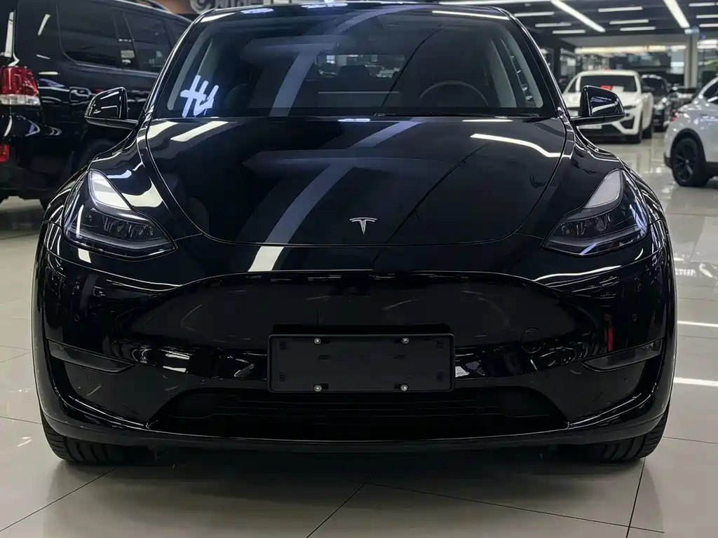 Tesla Model Y 2023 — фото 2