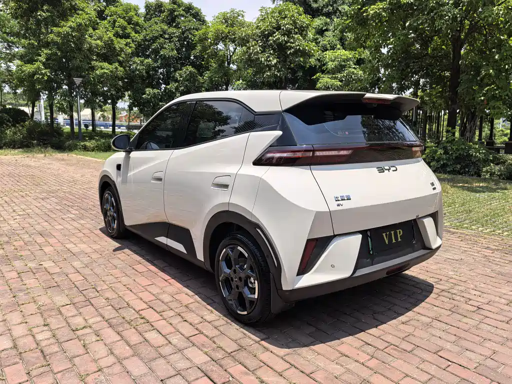 BYD Seagull 2025