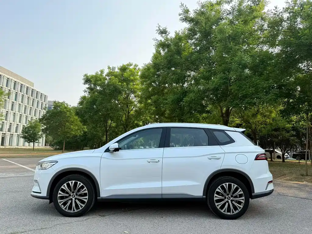 BYD Pro New Energy 2020 — фото 3