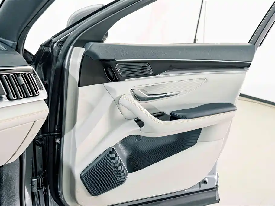 BYD Song PLUS New Energy 2022 — фото 15