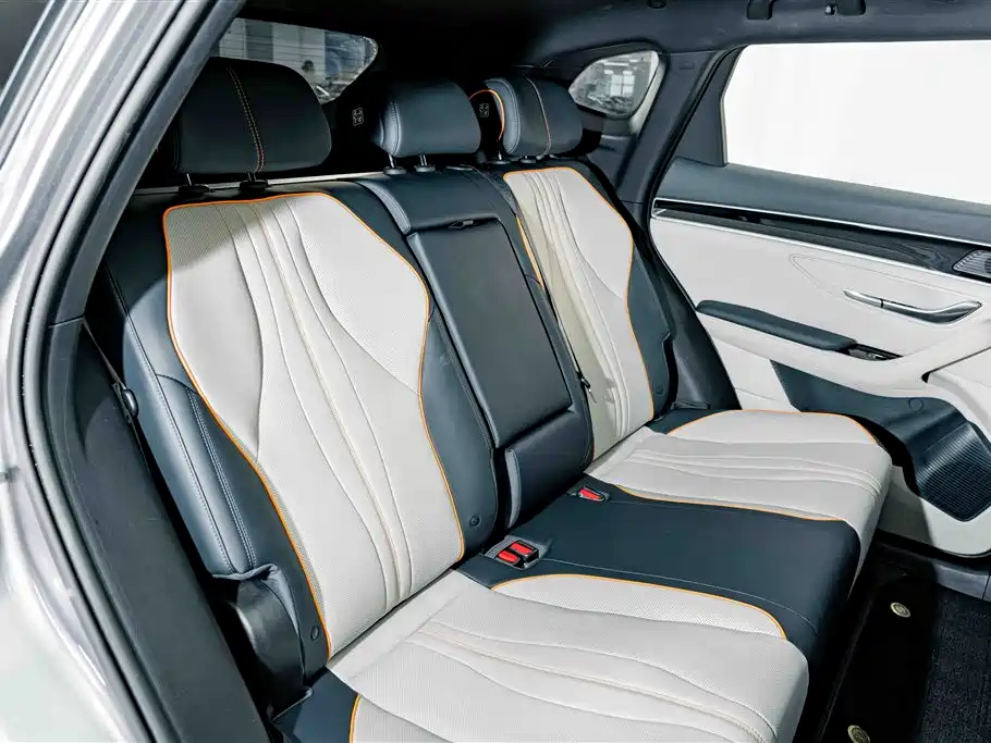 BYD Song PLUS New Energy 2022 — фото 22