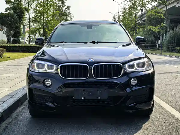 BMW X6 2018