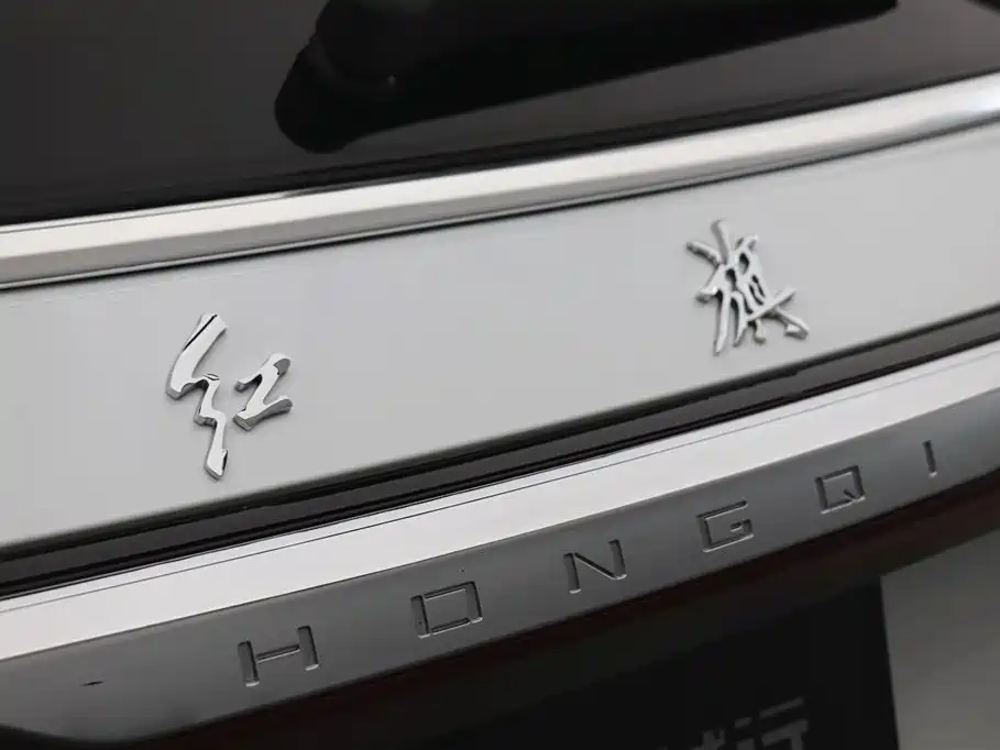 Hongqi E-HS9 2023 — фото 32