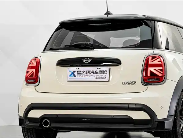 MINI MINI 2021