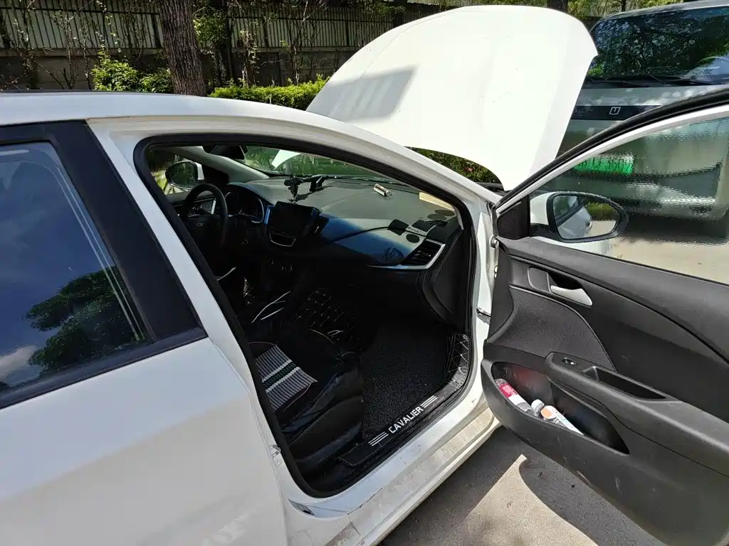 Chevrolet Cavalier 2018 — фото 22