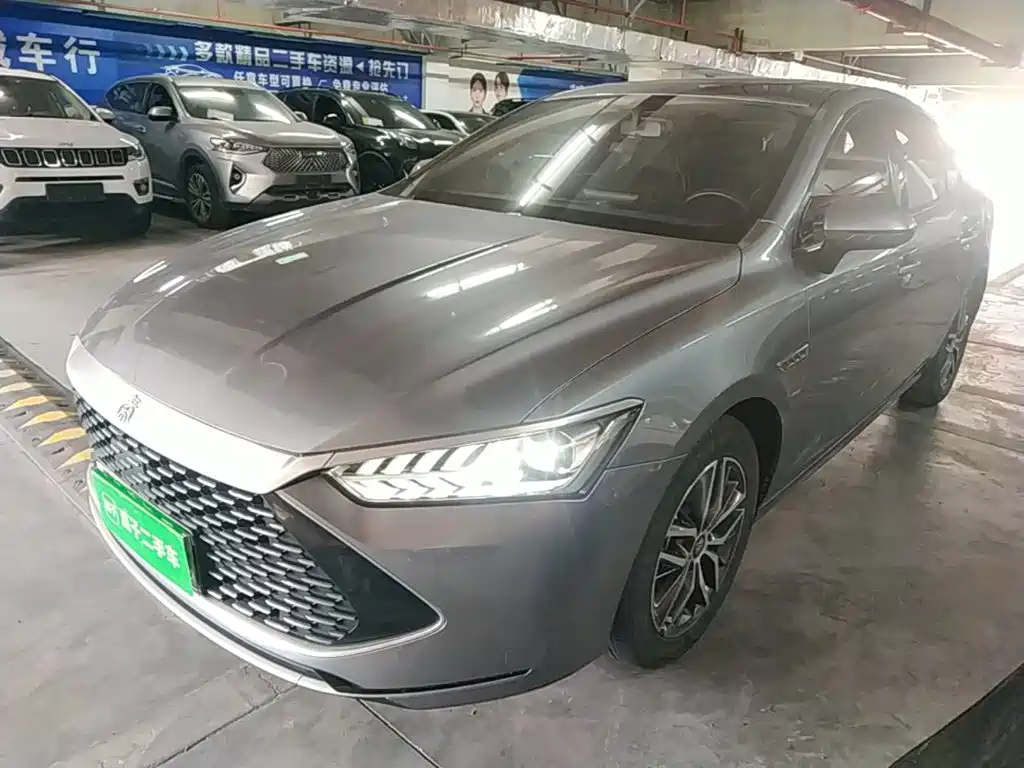 BYD Qin PLUS 2022 — фото 2