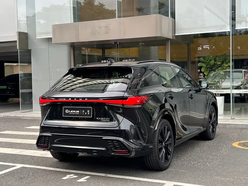 Lexus RX 2023 — фото 17