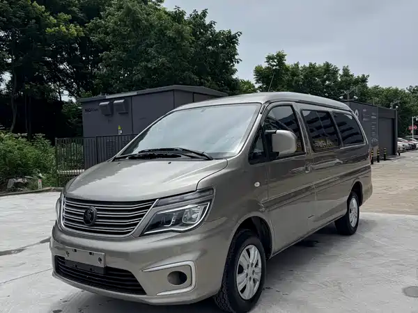 Dongfeng Lingzhi 2021