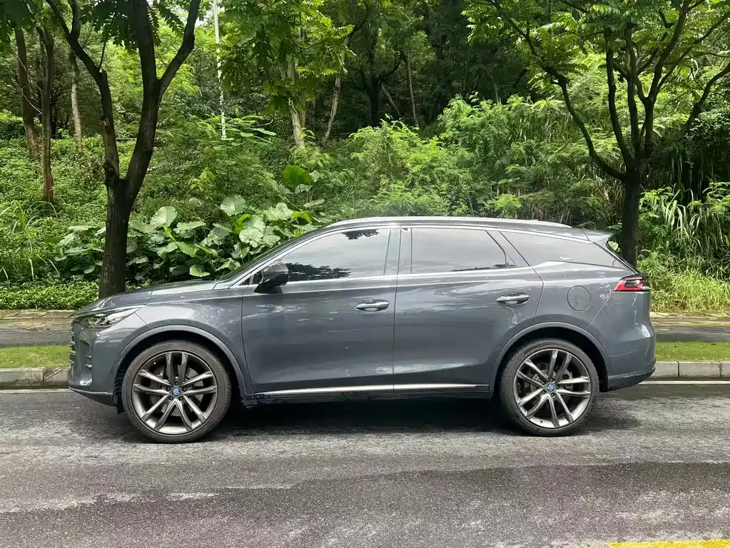 BYD Tang New Energy 2019 — фото 7