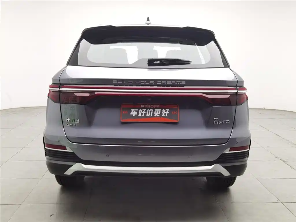 BYD Pro New Energy 2022 — фото 4