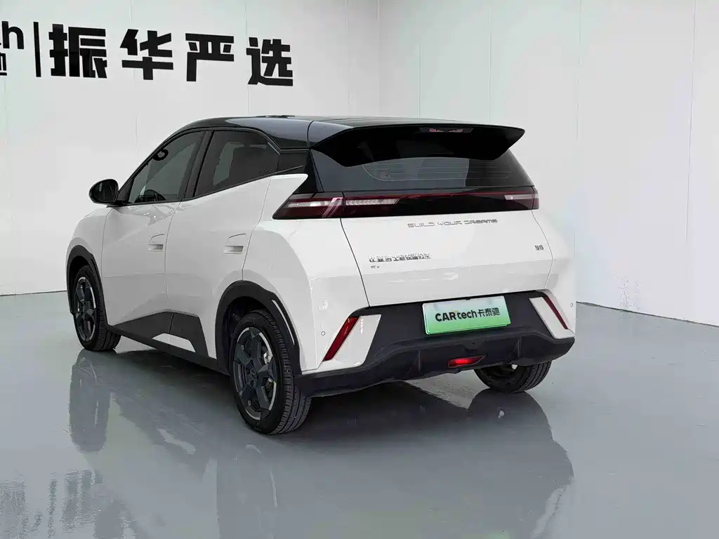 BYD Seagull 2024