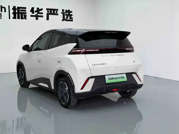 BYD Seagull 2024