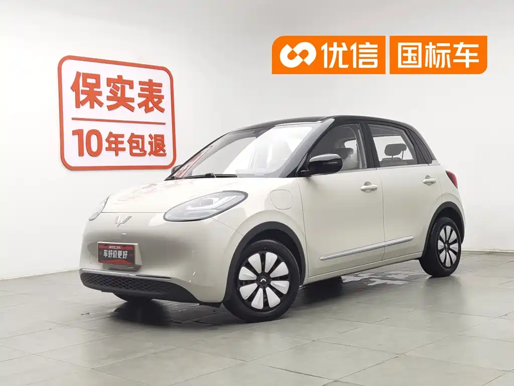 Wuling Bingo 2024