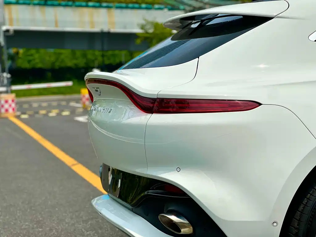 Aston Martin DBX 2022 — фото 10