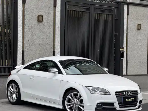Audi TTS 2013