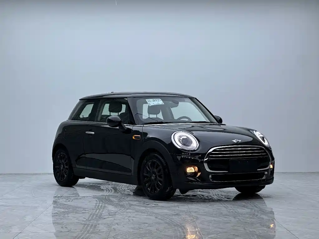 MINI MINI 2015
