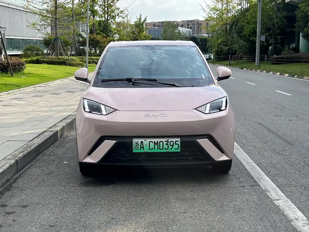 BYD Seagull 2024