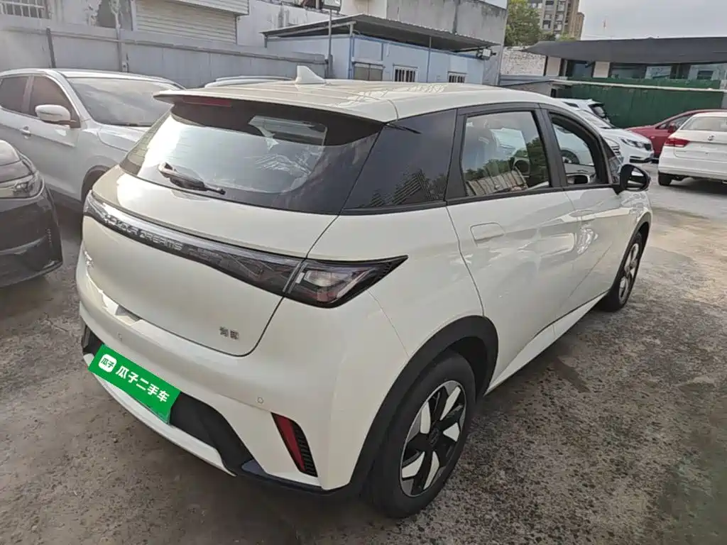 BYD Dolphin 2026