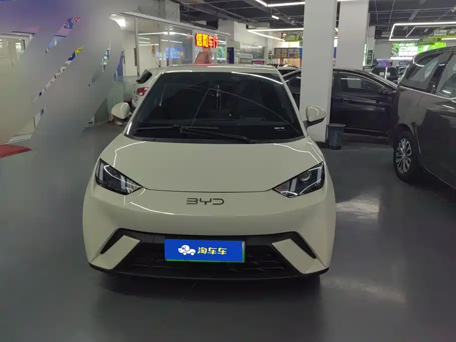 BYD Seagull 2024