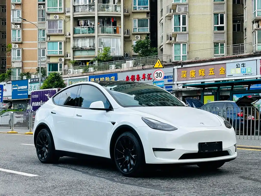 Tesla Model Y 2021 — фото 3
