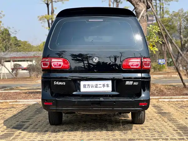 Dongfeng Lingzhi 2020