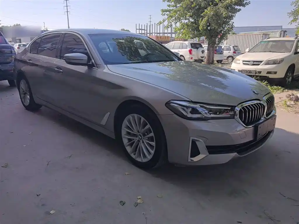 BMW 5 Series New Energy 2021 — фото 22