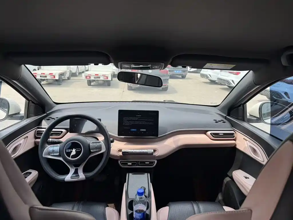 BYD Seagull 2024